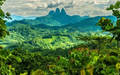 Borneo: Atrakcje, Przyroda i Planowanie Podróży - Twój Przewodnik