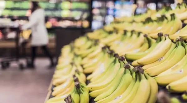 W jakim kraju rosną banany? Odkryj największych producentów bananów