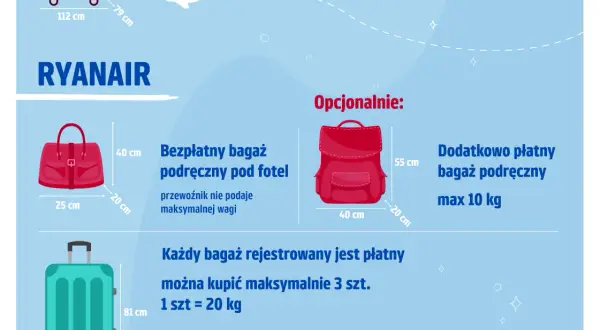 Co można przewieźć w bagażu rejestrowanym? Lista dozwolonych i zabronionych przedmiotów