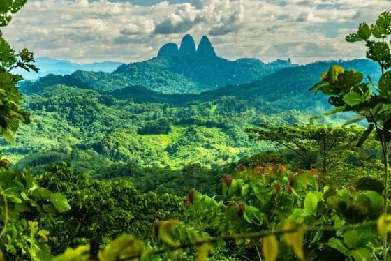 Borneo: Atrakcje, Przyroda i Planowanie Podróży - Twój Przewodnik